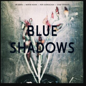 Blue Shadows