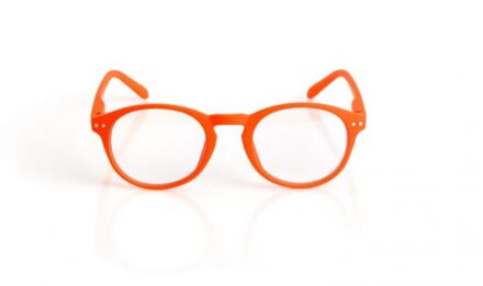 Blueberry Retro oranje M