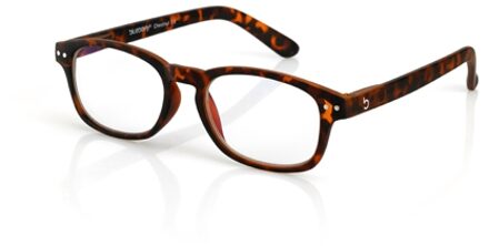 Blueberry Vintage havanna S