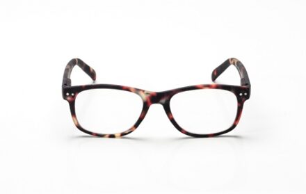 Blueberry Vintage Honey Tortoise S