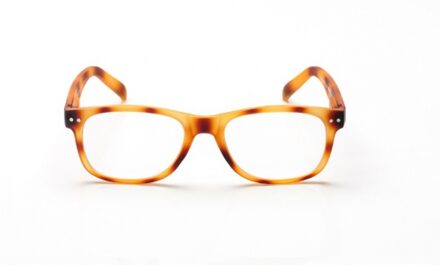 Blueberry Vintage Toffee Tortoise S