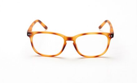 Blueberry Vintage XL Toffee Tortoise