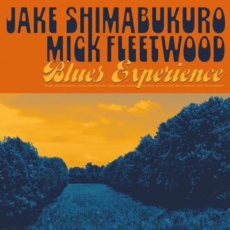 Blues Experience - Jake Shimabukuro & Mick Fleetwoo