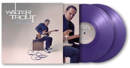Blues For The Modern Daze - Walter Trout