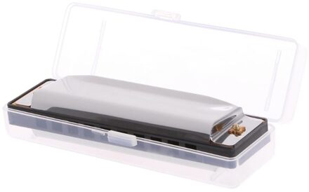 Blues Harmonica 10 Holes Toonsoort C Muziekinstrument Roestvrijstalen Met Case