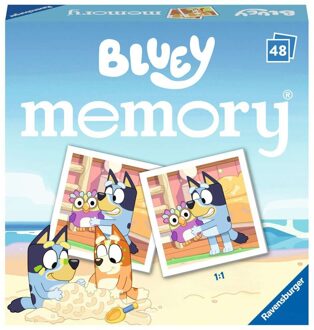 Bluey Mini Memory