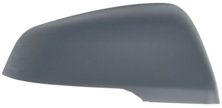 BMW Afdekking, buitenspiegel 6103052266311P