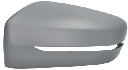 BMW Afdekking, buitenspiegel 6103052609310P