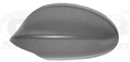 BMW Afdekking, buitenspiegel