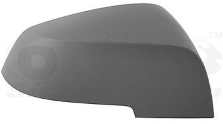 BMW Afdekking, buitenspiegel