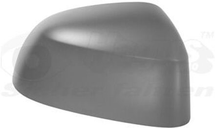 BMW Afdekking, buitenspiegel