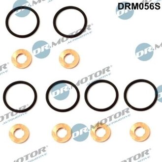 BMW Afdichting, Injector/Verstuiver DRM056S