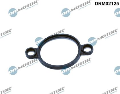 BMW Afdichting, regelelement (excentrische as) DRM02125