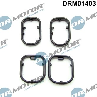 BMW Afdichtingsset, oliekoeler DRM01403