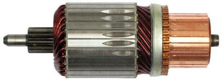 BMW Anker, starter SA6022