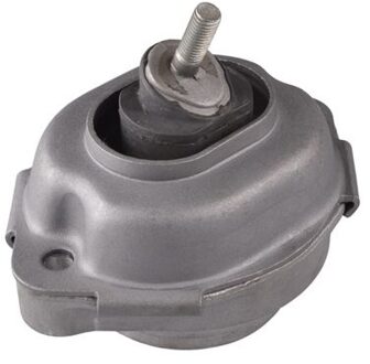 BMW Aslichaam-/motorsteunlager 00088396