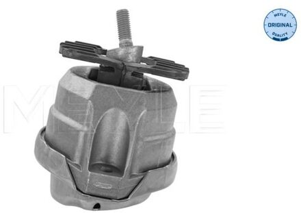 BMW Aslichaam-/motorsteunlager 3002211124