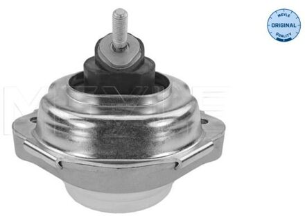 BMW Aslichaam-/motorsteunlager 3002211130