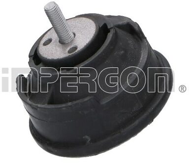 BMW Aslichaam-/motorsteunlager 35303