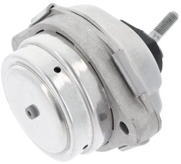 BMW Aslichaam-/motorsteunlager 80001082