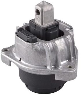 BMW Aslichaam-/motorsteunlager TED52401