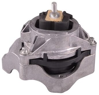 BMW Aslichaam-/motorsteunlager TED52510