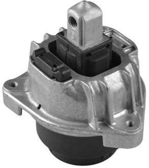 BMW Aslichaam-/motorsteunlager TED60977