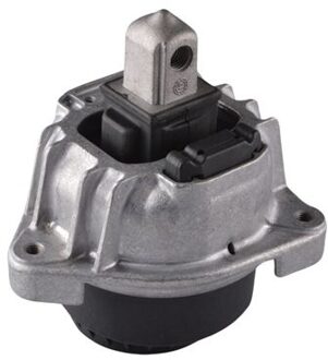 BMW Aslichaam-/motorsteunlager TED77889