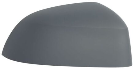 BMW Behuizing, buitenspiegel 6103052001060P