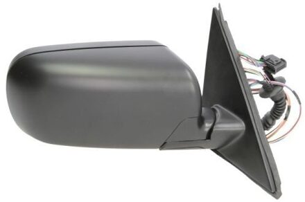 BMW Buitenspiegel 5402041121825P