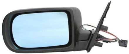 BMW Buitenspiegel 5402041139824P