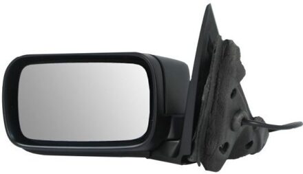 BMW Buitenspiegel 5402041171829P