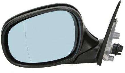 BMW Buitenspiegel 540205021361P