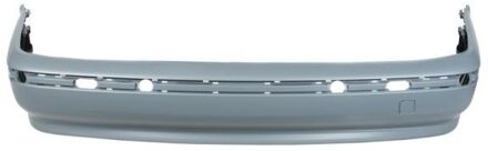 BMW Bumper 5506000065950Q