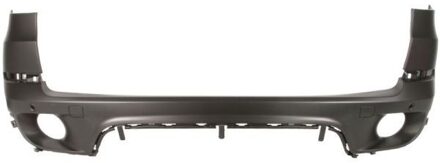 BMW Bumper 5506000096953P