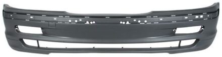 BMW Bumper 5510000061900Q