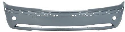 BMW Bumper 5510000061902Q