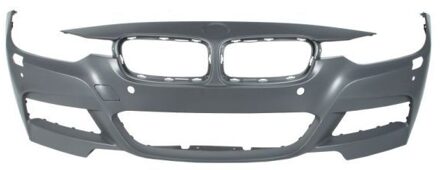 BMW Bumper 5510000063913PP