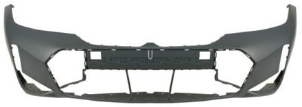 BMW Bumper 5510000064907P