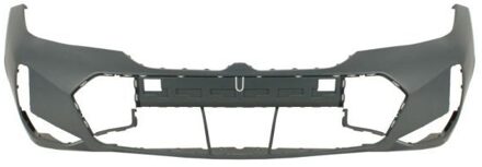 BMW Bumper 5510000064908P