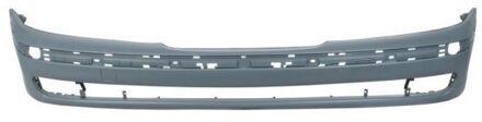 BMW Bumper 5510000065900Q
