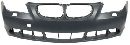 BMW Bumper 5510000066900P