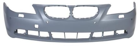 BMW Bumper 5510000066901Q