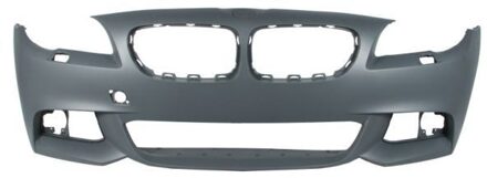 BMW Bumper 5510000067906P