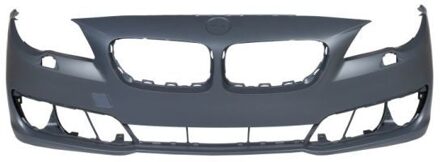 BMW Bumper 5510000067908P