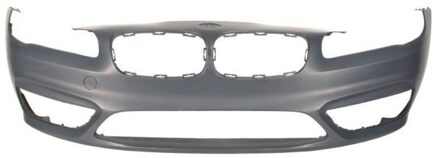 BMW Bumper 5510000071901P