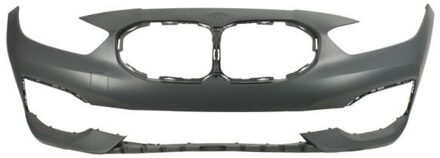 BMW Bumper 5510000073900P
