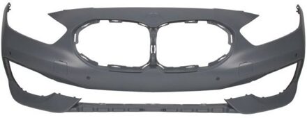 BMW Bumper 5510000073901P