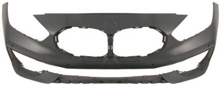 BMW Bumper 5510000073904P