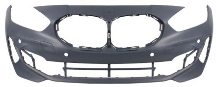 BMW Bumper 5510000073907P